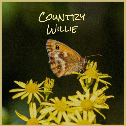 Country Willie