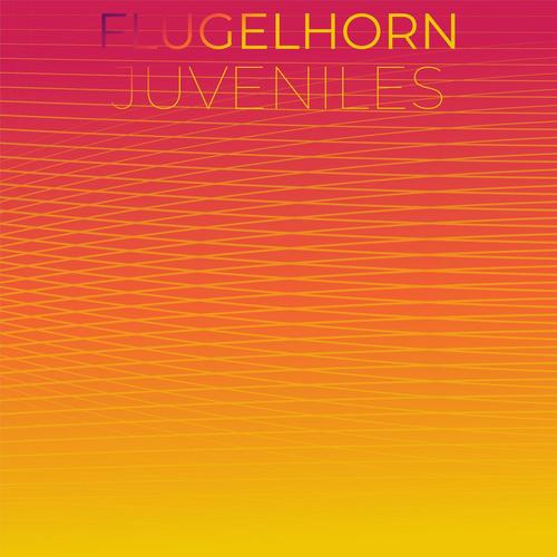 Flugelhorn Juveniles