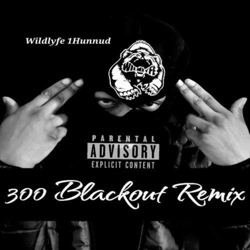 300 Blackout (Remix) [Explicit]