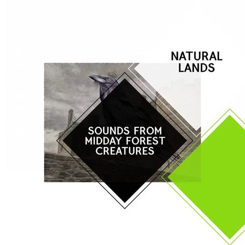 Sounds from Midday Forest Creatures - Natural Lands