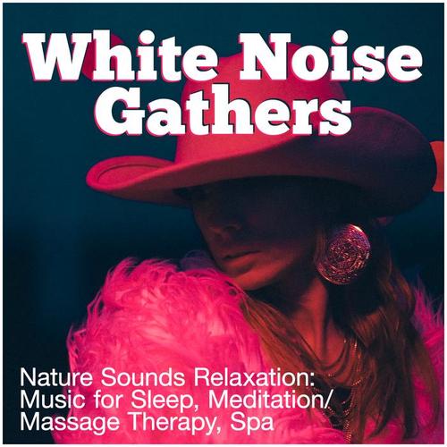 White Noise Gathers