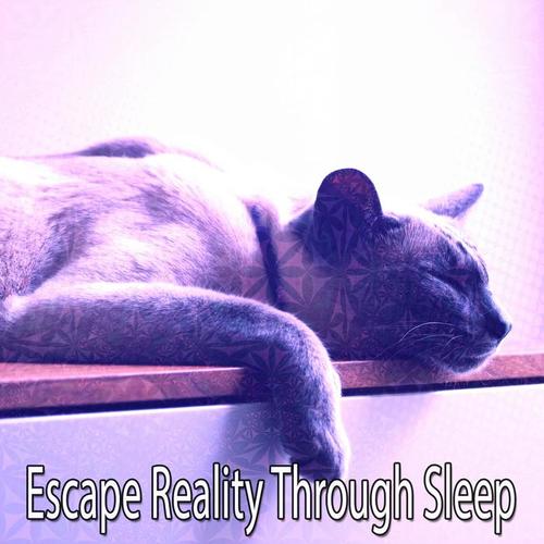 Escape Reality Through Sleep