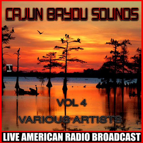 Cajun Bayou Sounds, Vol. 4