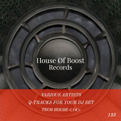 Q-Tracks for your Dj Set Tech House 14