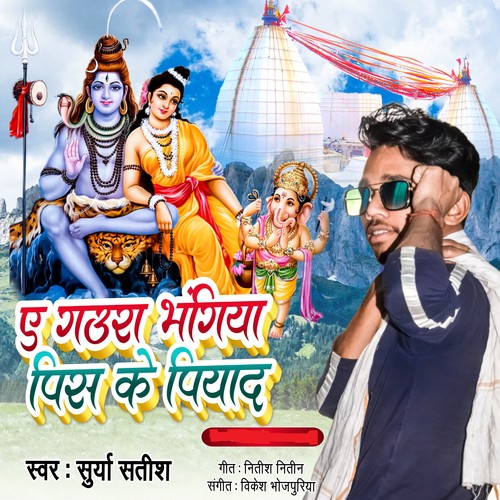Ae Gaura Bhangiya Pis Ke Pilay D