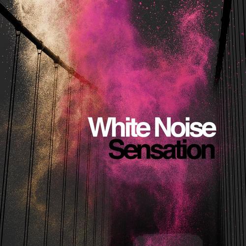 White Noise Sensation