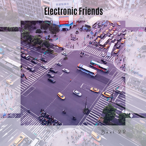 Electronic Friends Best 22