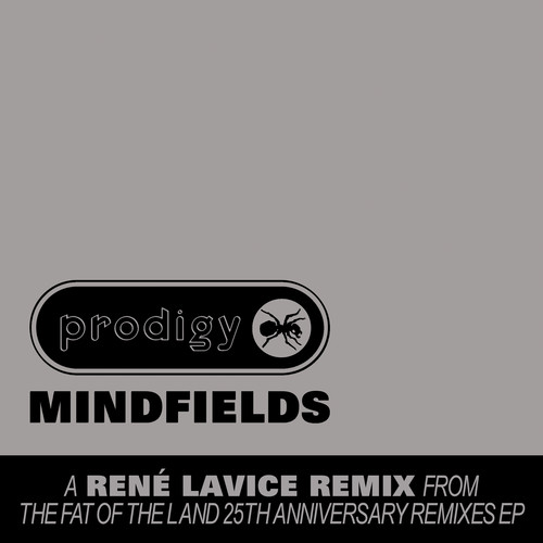 Mindfields (René LaVice Remix)