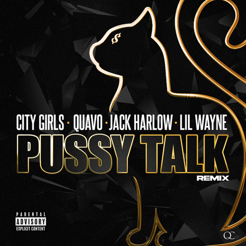 Pussy Talk (Remix) [Explicit]