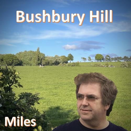 Bushbury Hill