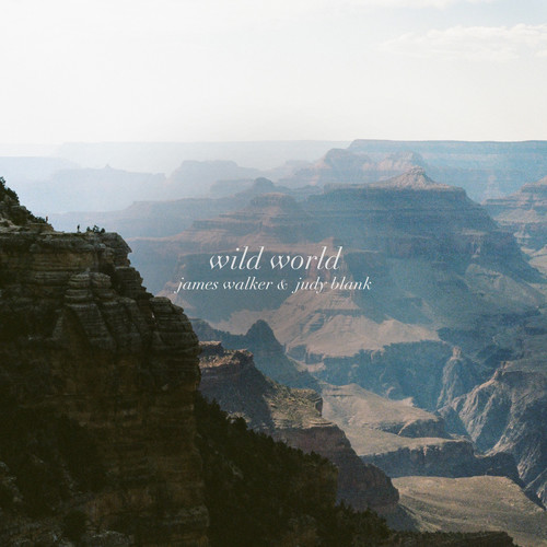 Wild World