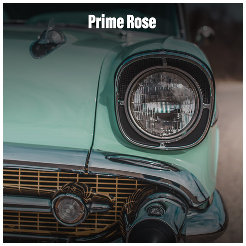 Prime Rose