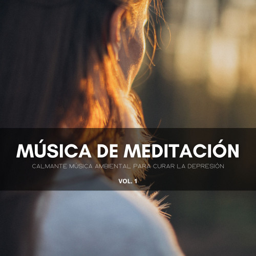 Música De Meditación: Calmante Música Ambiental Para Curar La Depresión Vol. 1