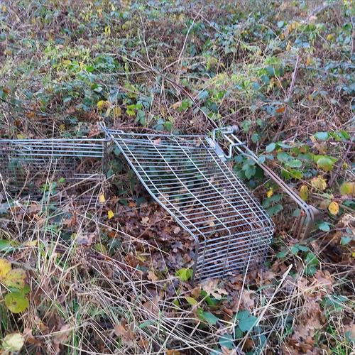 An Album about a shopping trolley (Explicit)