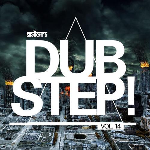 Straight Up Dubstep! Vol. 14