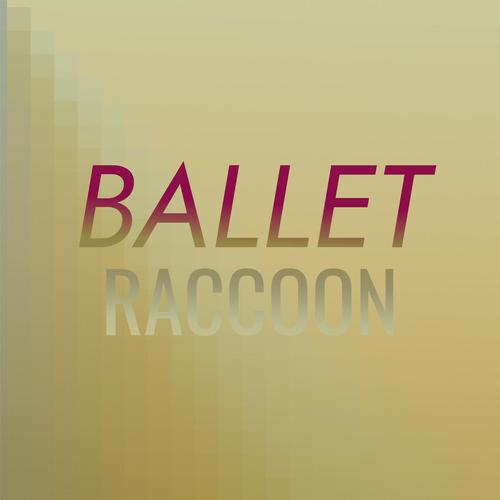 Ballet Raccoon