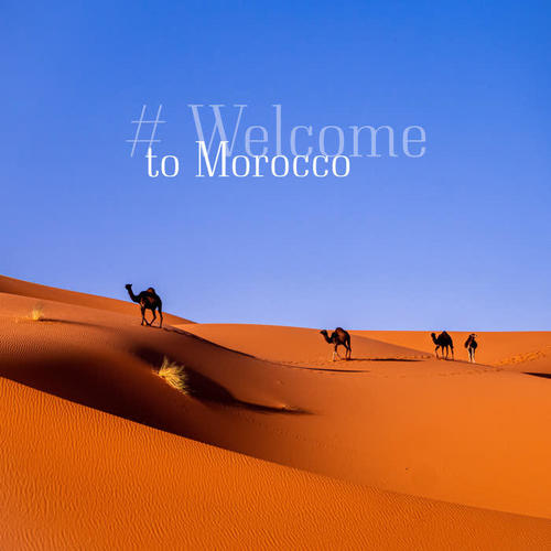 # Welcome to Morocco