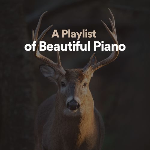 A Playlist of Beautiful Piano