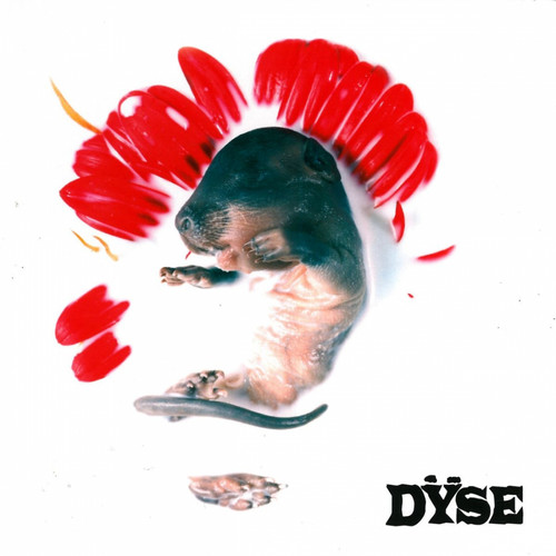 Dÿse