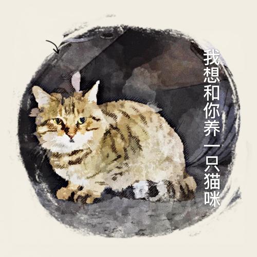 我想和你养一只猫咪