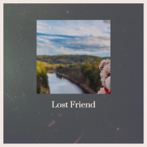 Lost Friend