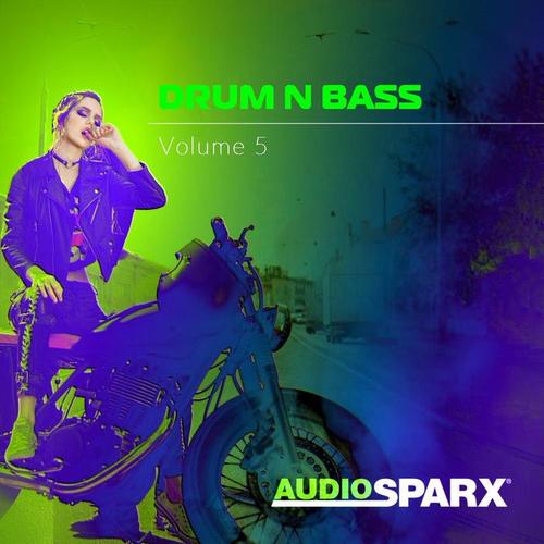 Drum n Bass Volume 5