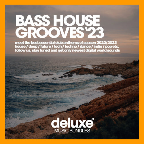 Bass House Grooves 2023