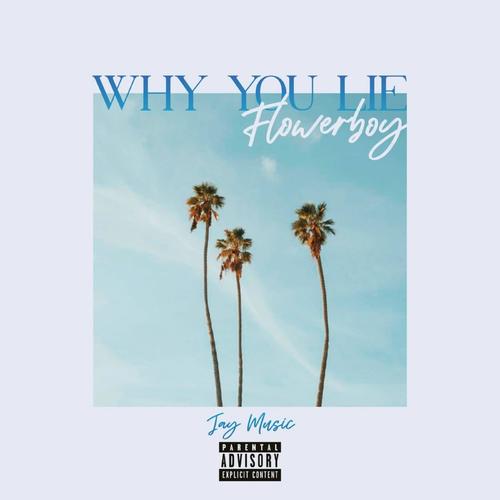 Why You Lie (with FlowerBoy) [Explicit]