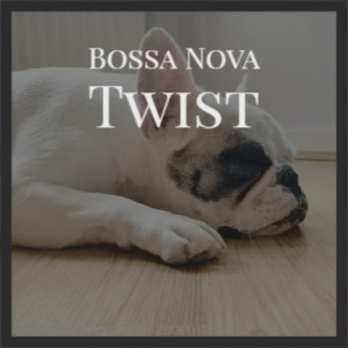 Bossa Nova Twist