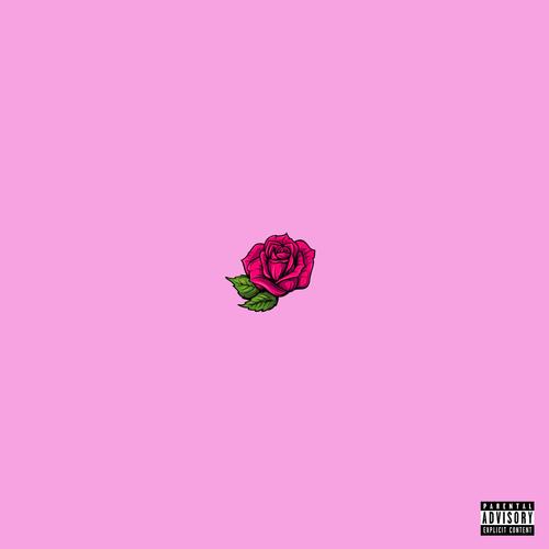 D Rose (Explicit)