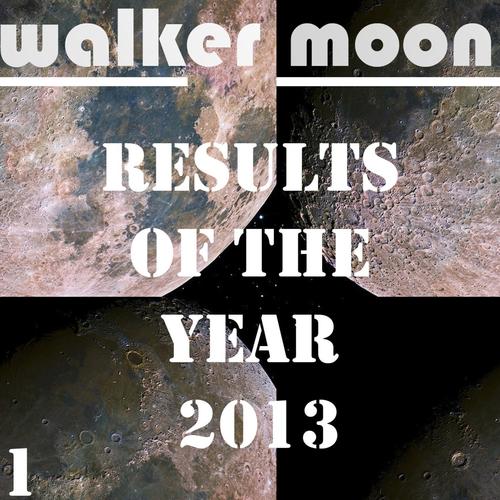 Results Of The Year 2013