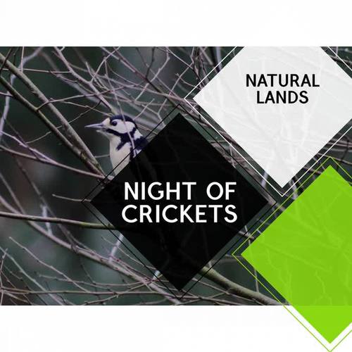 Night of Crickets - Natural Lands