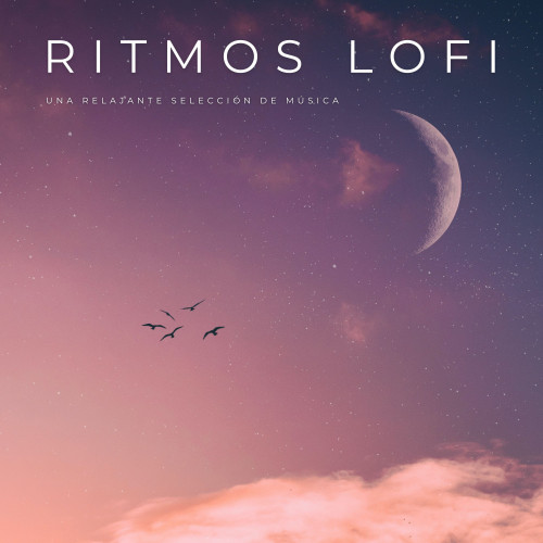 Ritmos Lofi: Una Relajante Selección De Música