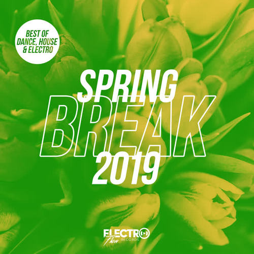 Spring Break 2019 (Best of Dance, House & Electro)