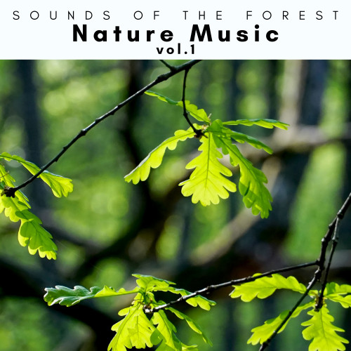 1 Nature Music vol. 1