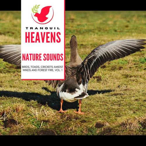 Nature Sounds - Birds, Toads, Crickets amidst Winds and Forest Fire, Vol. 1