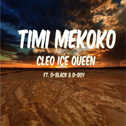 Timi Mekoko (feat. D-Black & D-Boy)