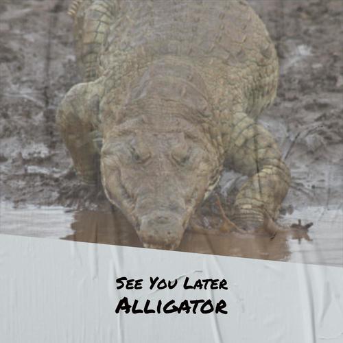 See You Later Alligator