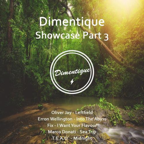 Dimentique Showcase, Pt. 3