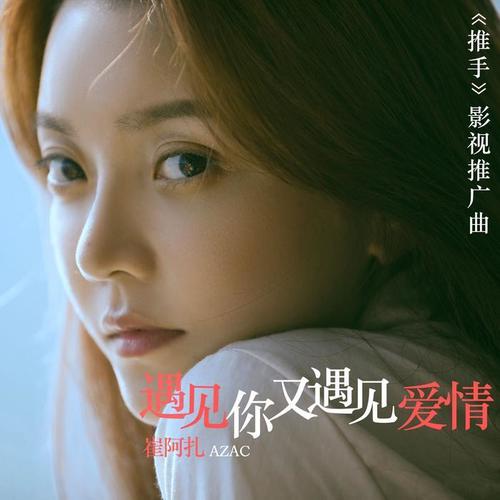 遇见你又遇见爱情（《推手》电视剧推广曲）