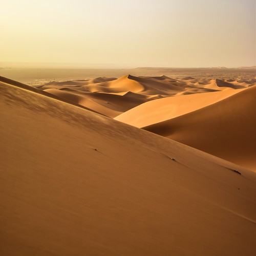 Sahara