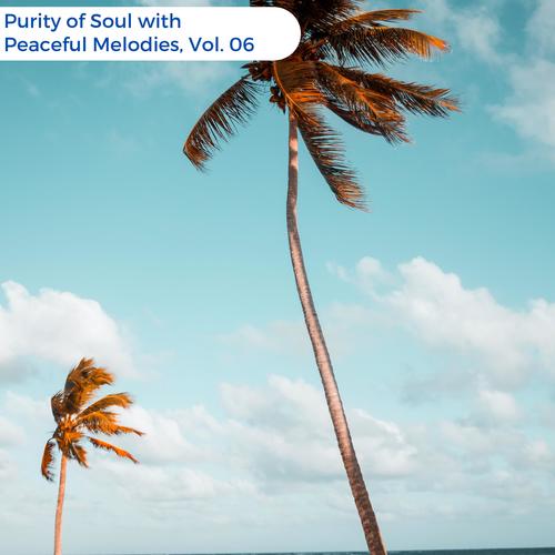 Purity Of Soul With Peaceful Melodies, Vol. 06