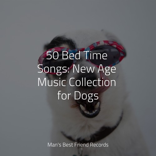 50 Bed Time Songs: New Age Music Collection for Dogs