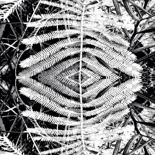 Trees Eternally Breathing