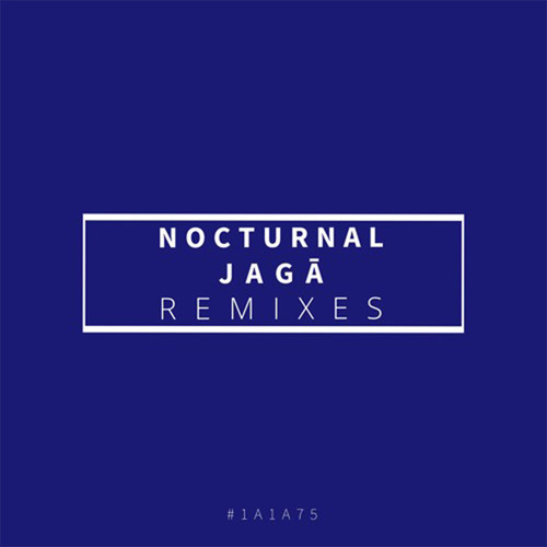 Nocturnal (Remixes)