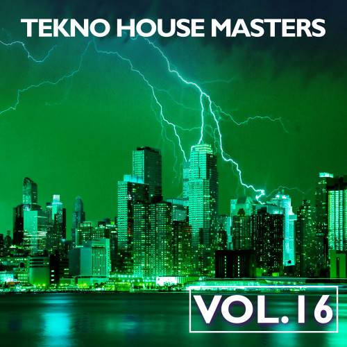 Tekno House Masters, Vol. 16