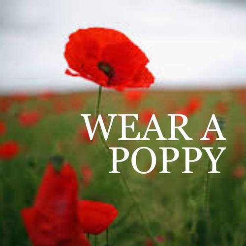 Wear A Poppy