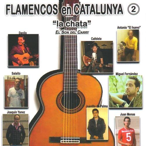 Flamencos en Catalunya 2 - 