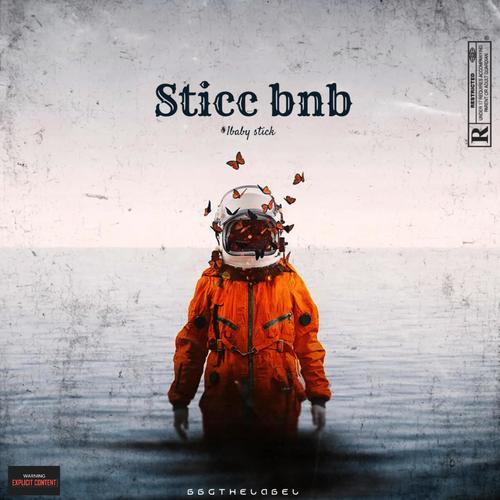 Sticc bnb (Explicit)