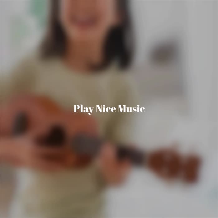 Play Nice Music